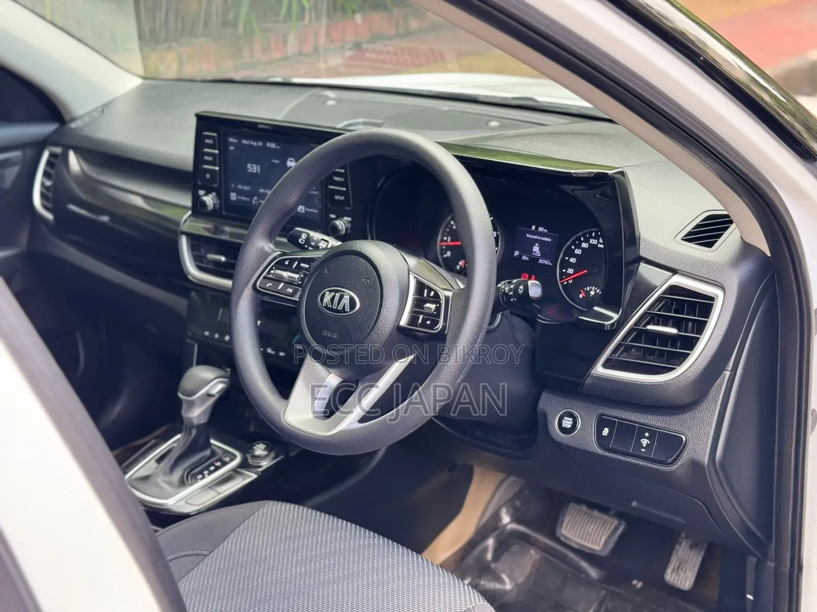 Kia Seltos 2019 Pearl