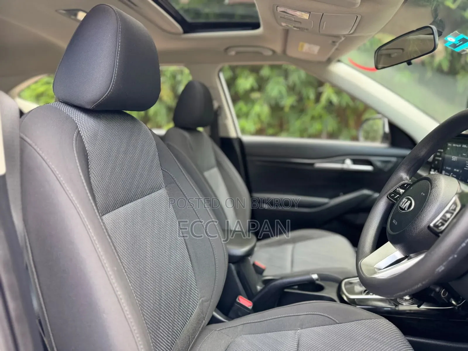 Kia Seltos 2019 Pearl