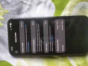 Apple iPhone 15 Pro Max 256 GB Black