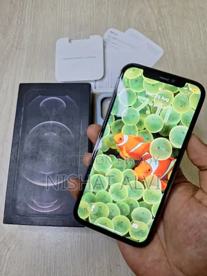 Apple iPhone 12 Pro 256 GB