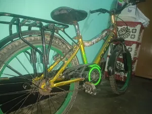 Pedal Cycle