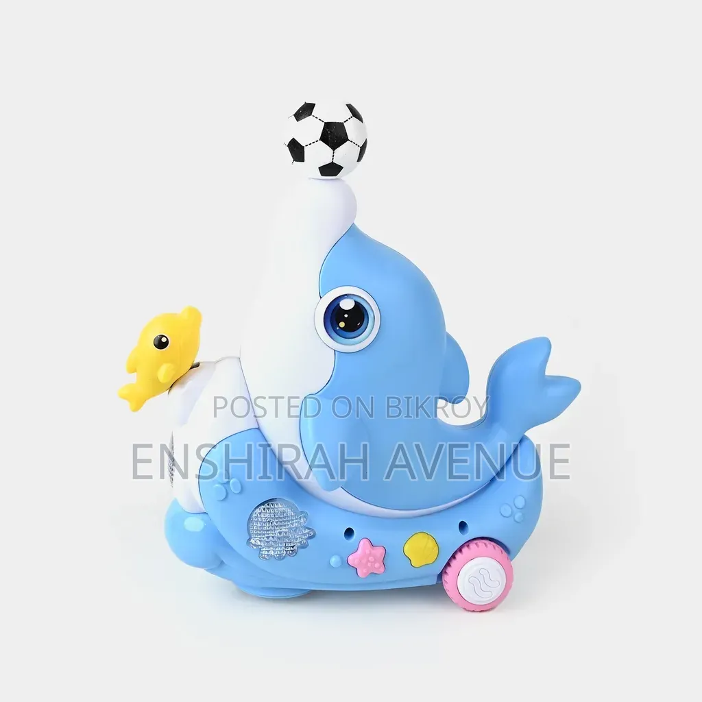 Dolphin Concert Cute Musician Toy