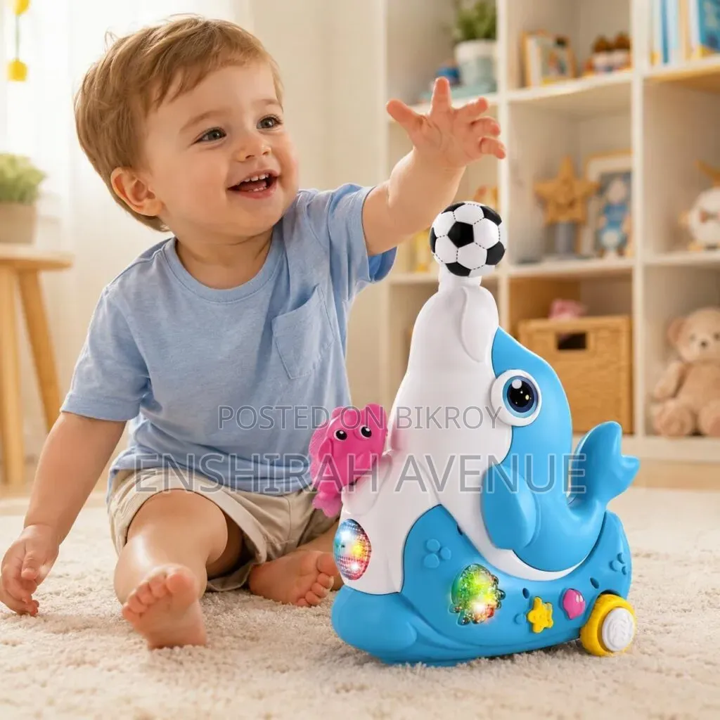 Dolphin Concert Cute Musician Toy