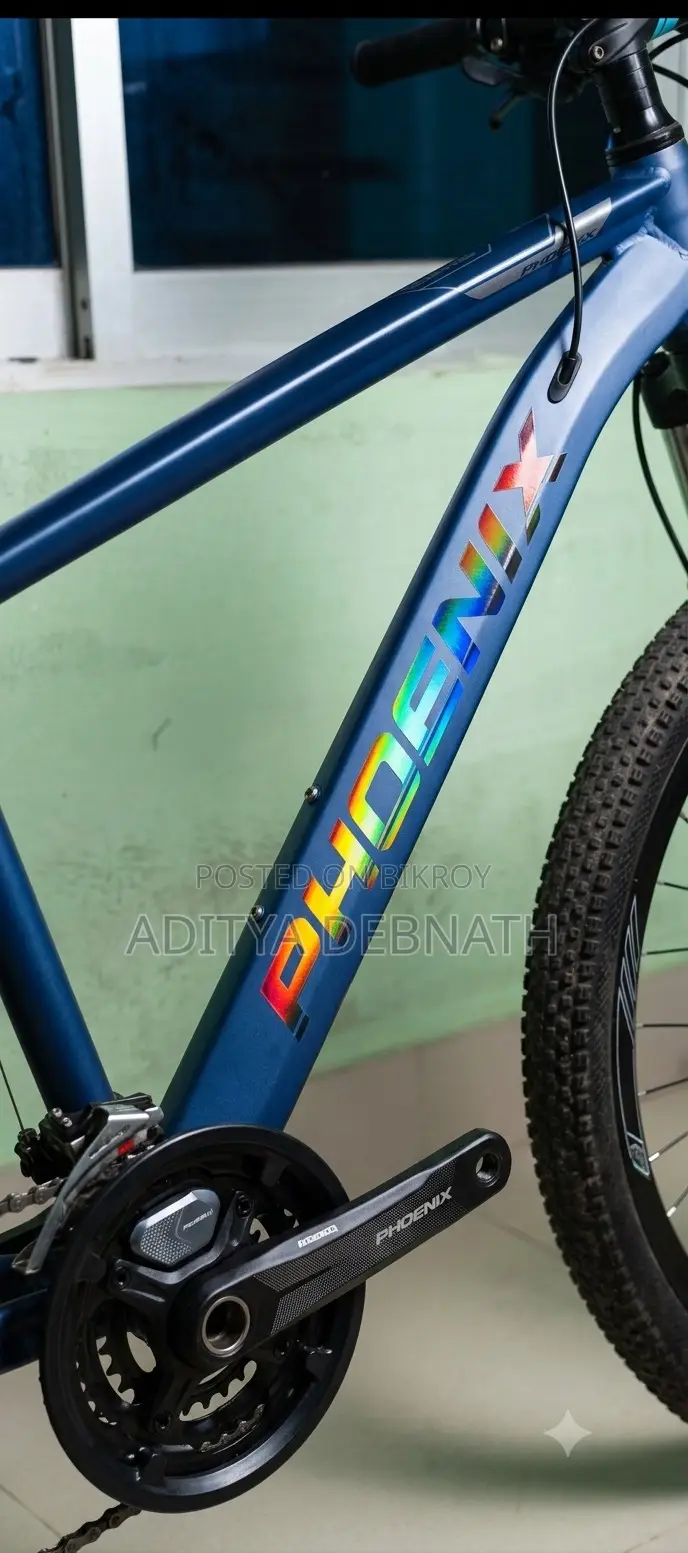 Modified Cycle Cycle Name Phonix Riding Frame 8 Speed Gear Cycle