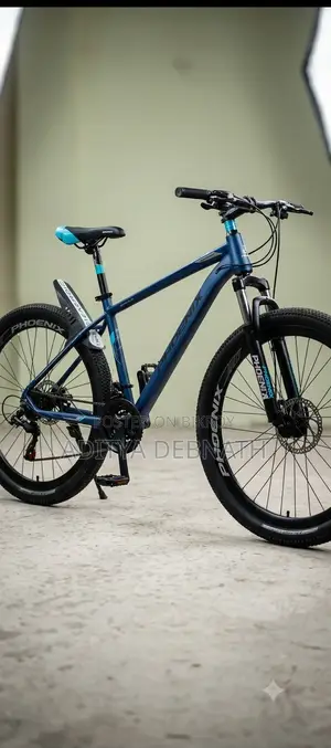 Modified Cycle Cycle Name Phonix Riding Frame 8 Speed Gear Cycle