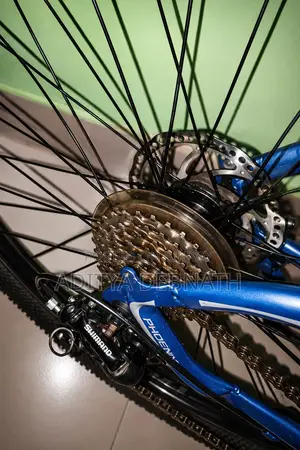 Modified Cycle Cycle Name Phonix Riding Frame 8 Speed Gear Cycle