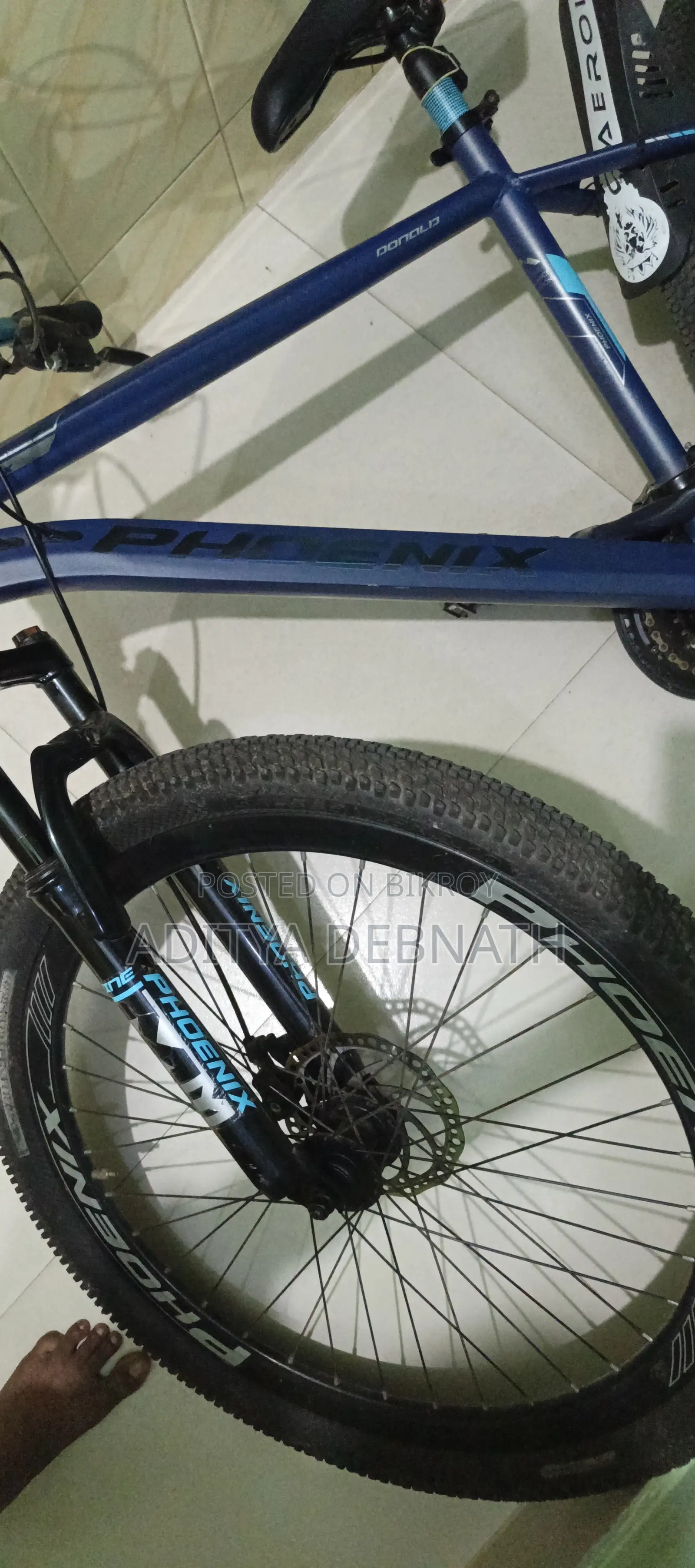 Phonix Gear Cycle Rare Colour 11 Speed
