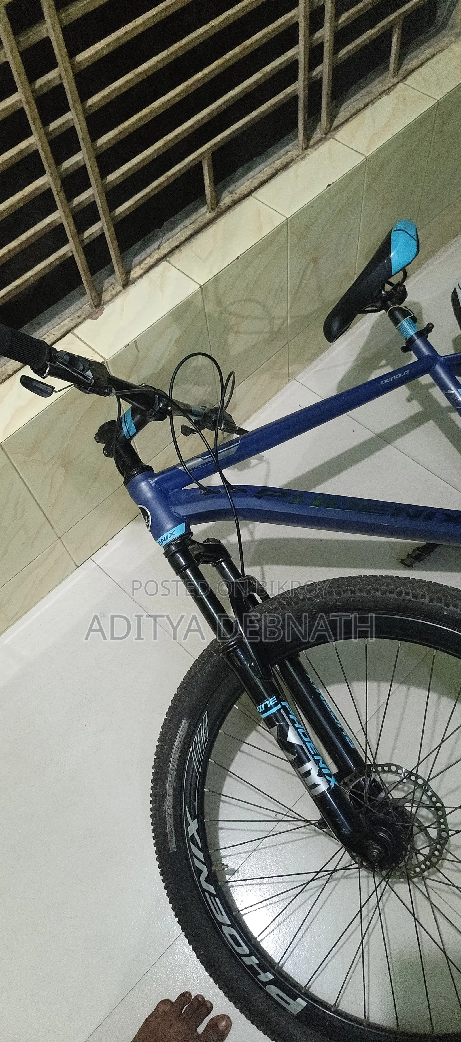 Phonix Gear Cycle Rare Colour 11 Speed