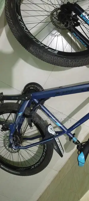 Phonix Gear Cycle Rare Colour 11 Speed