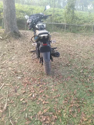 Bajaj Pulsar 150 2021 Black