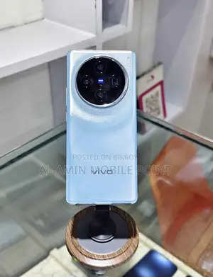Vivo X100 256 GB Silver