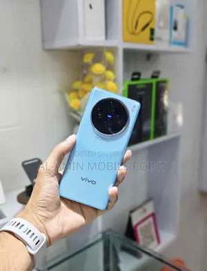 Vivo X100 256 GB Silver