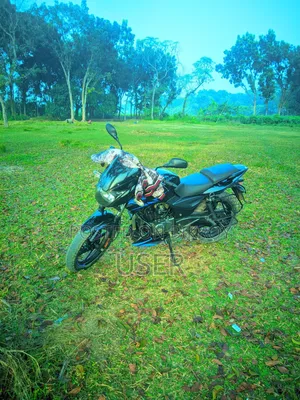 Bajaj Pulsar 150 2021 Black