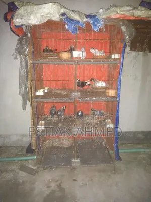 ৮ খোপের খাচা