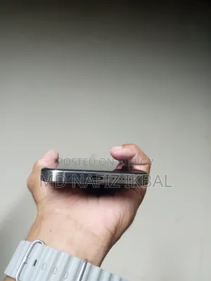 Apple iPhone 15 Pro Max 512 GB Silver