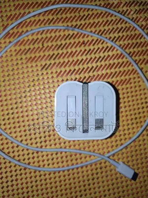 Apple Original Charger (20w)