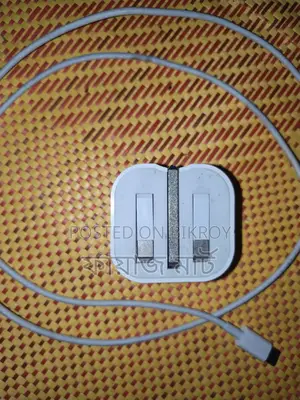 Apple Original Charger (20w)