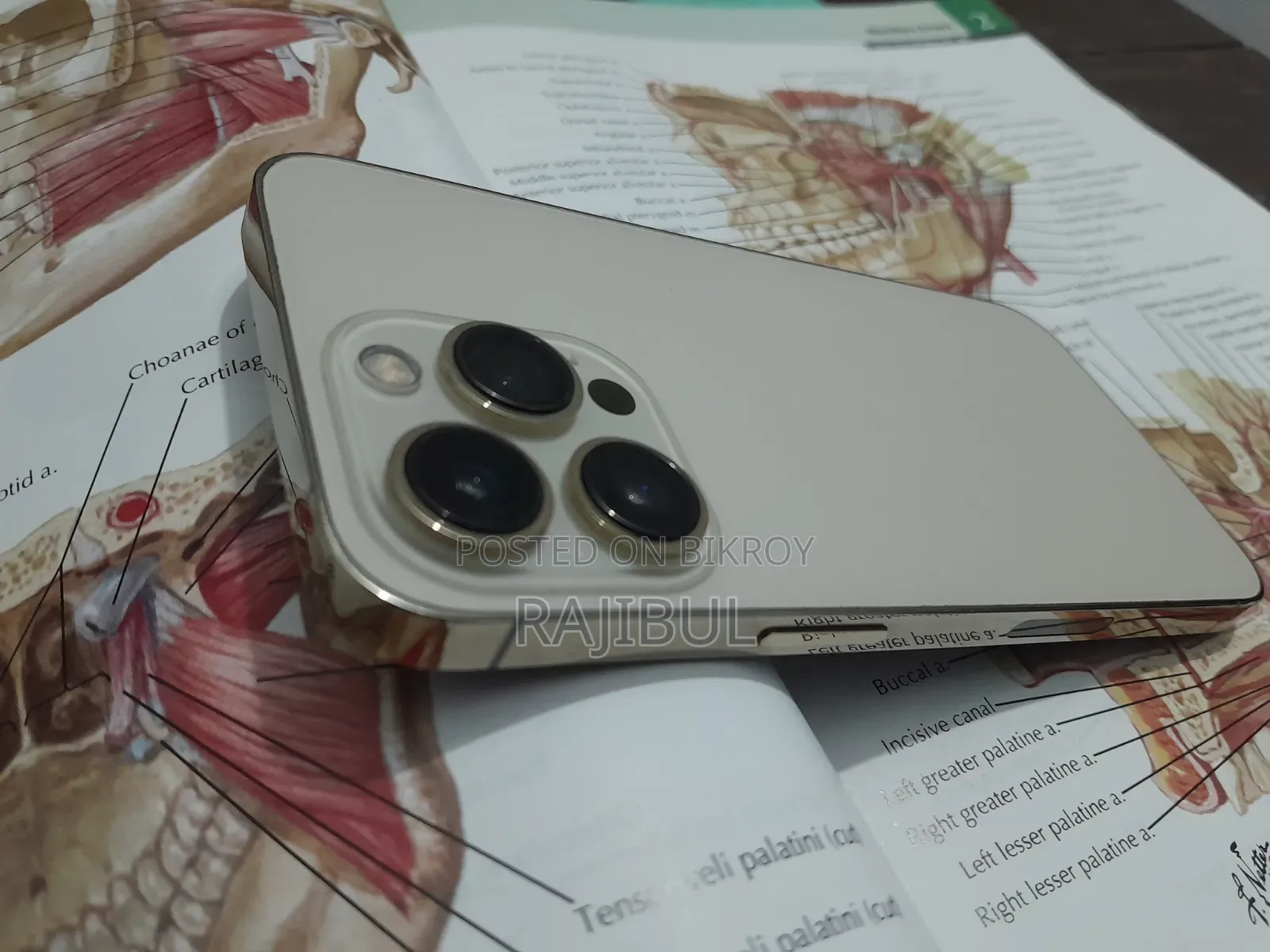 Apple iPhone 13 Pro 256 GB Gold