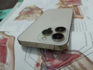 Apple iPhone 13 Pro 256 GB Gold