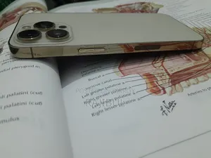 Apple iPhone 13 Pro 256 GB Gold