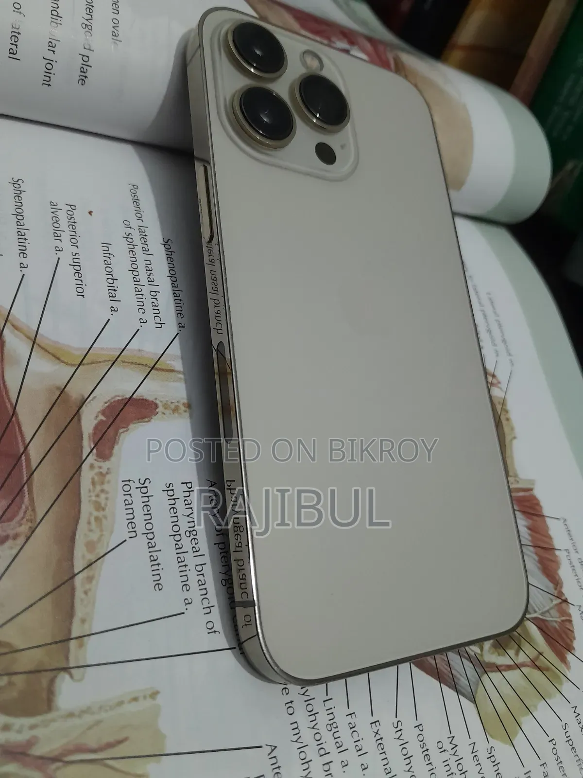 Apple iPhone 13 Pro 256 GB Gold