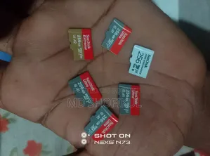 SanDisk Memory Original Card