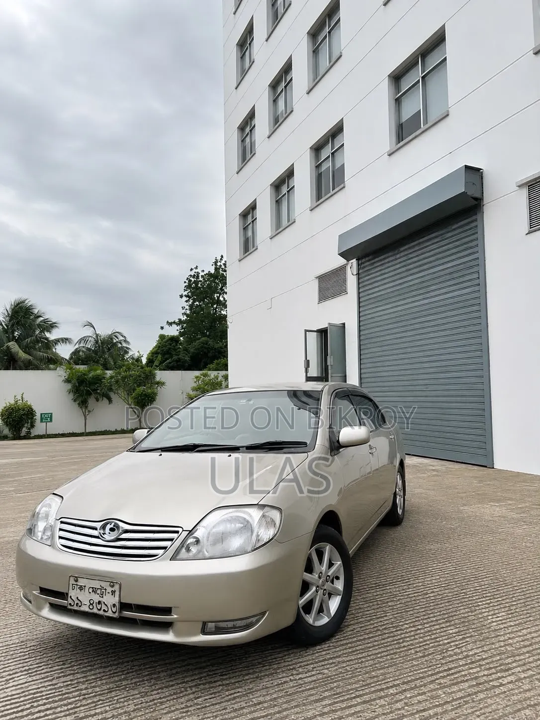 Toyota Corolla 2002 Beige