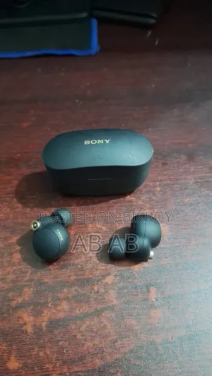 Sony 1000xm4 Earbuds