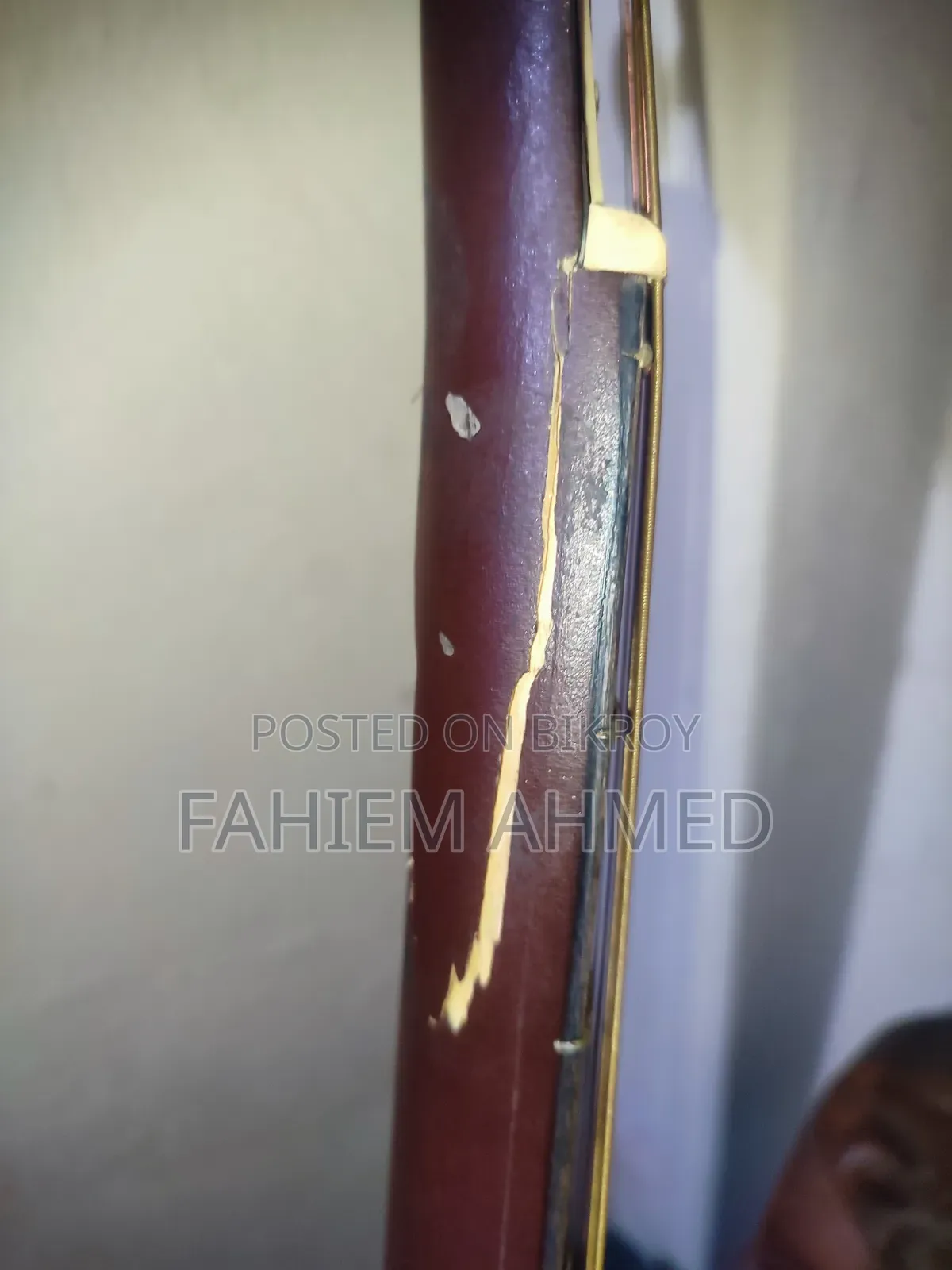 Guitar 009
