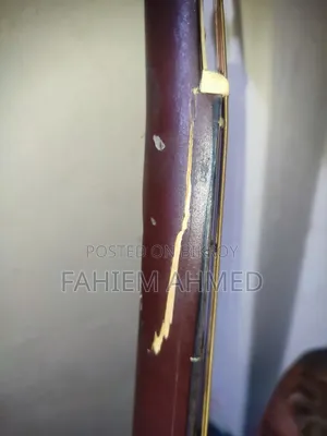 Guitar 009