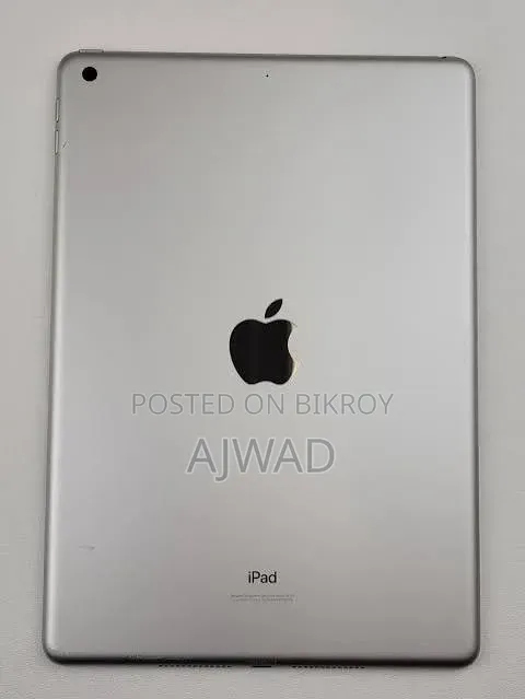 Apple 32 GB Gray