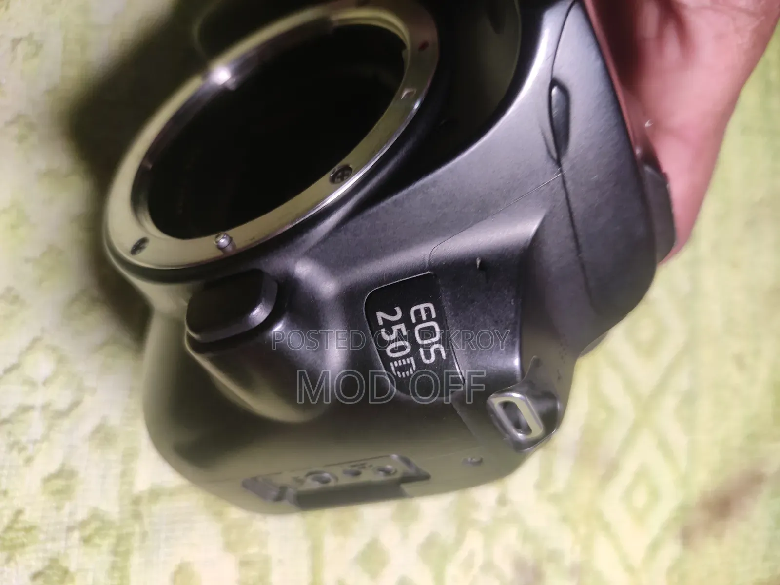 Canon 250d With 2 Lens