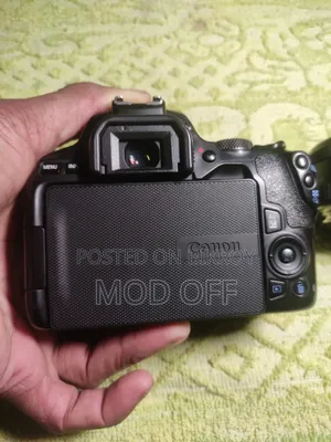 Canon 250d With 2 Lens