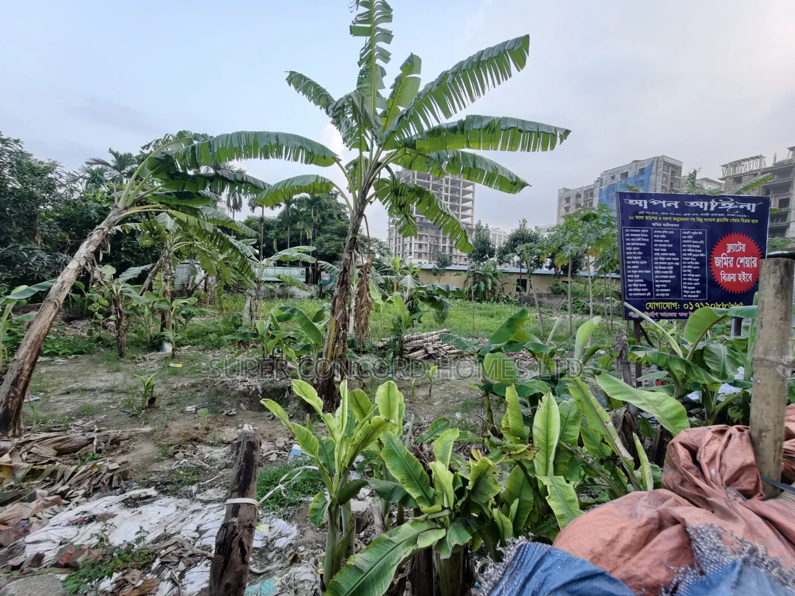 Stylish & Spacious Apartment Flat Share Available at Banasree!
