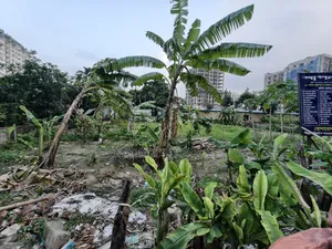 স্টাইলিশ অ্যান্ড স্পেসিয়াস অ্যাপার্টমেন্ট ফ্ল্যাট শেয়ার অ্যাভেইলেবল অ্যাট বনশ্রী!