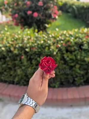 Oppo A3s 16 GB Red