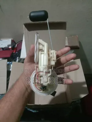 Mt15 (Bs4) Full Pamp