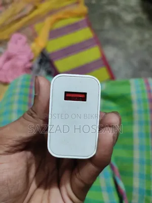 Mi 33w Charger