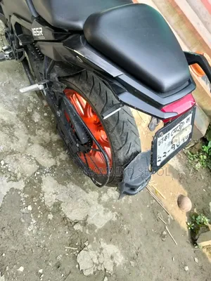Beetle Bolt Corbet 2022 Black