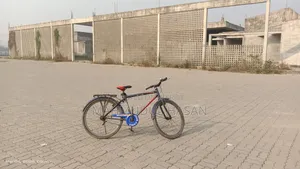 ৭১ বাইসাইকেল (নীল)