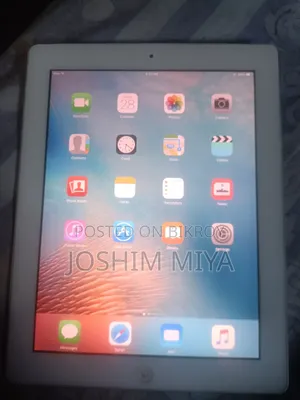 Apple iPad mini 2 16 GB Gray