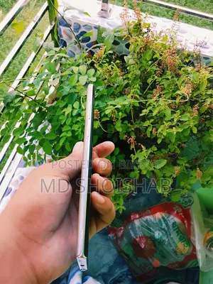 স্যামসাং গ্যালাক্সি নোট ১০ প্লাস ২৫৬ জিবি ব্লু