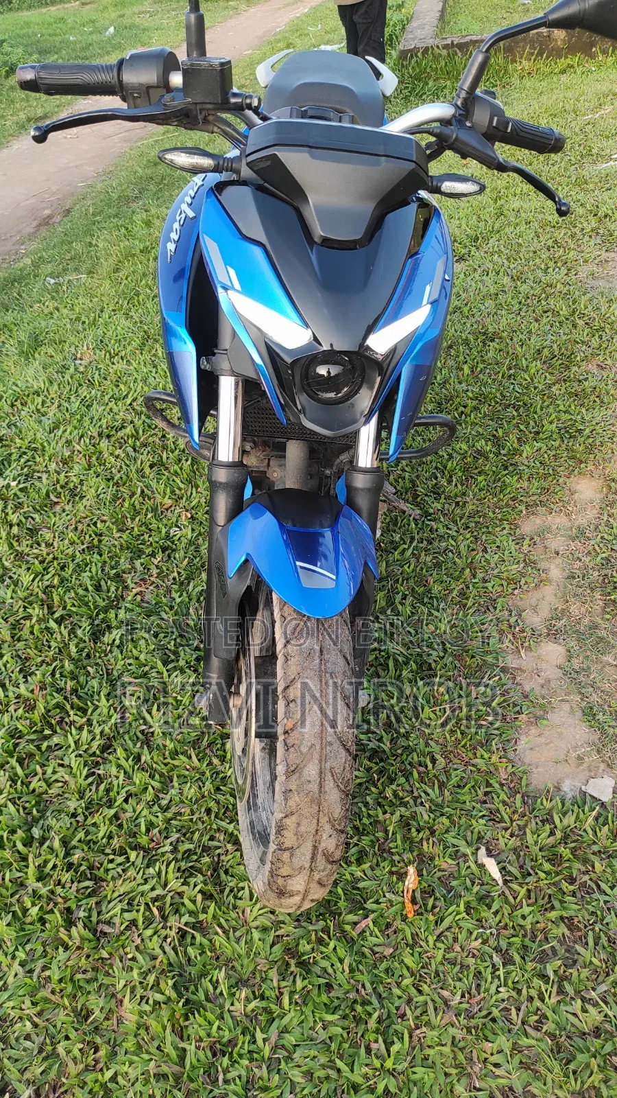 Bajaj Pulsar N250 2023 Blue
