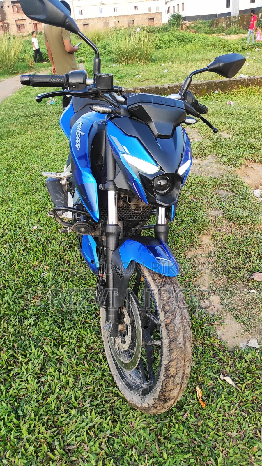 Bajaj Pulsar N250 2023 Blue