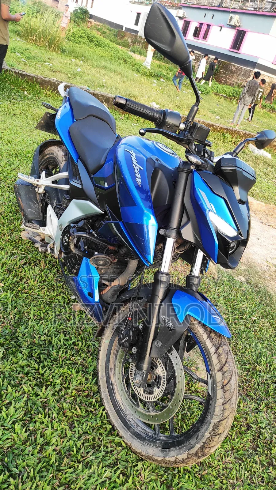 Bajaj Pulsar N250 2023 Blue