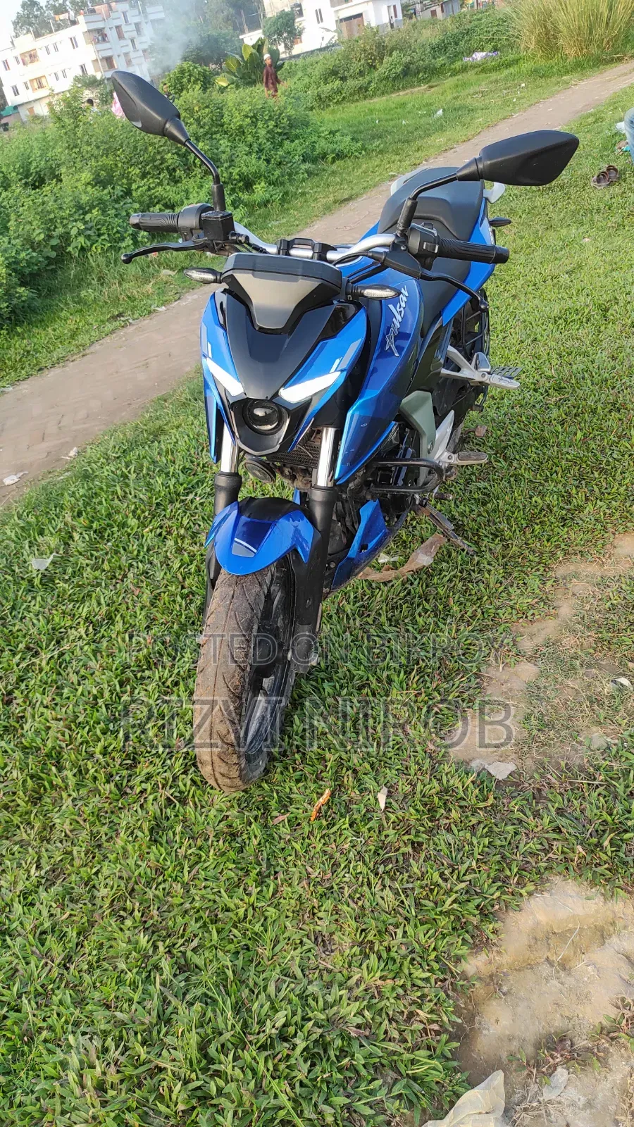 Bajaj Pulsar N250 2023 Blue