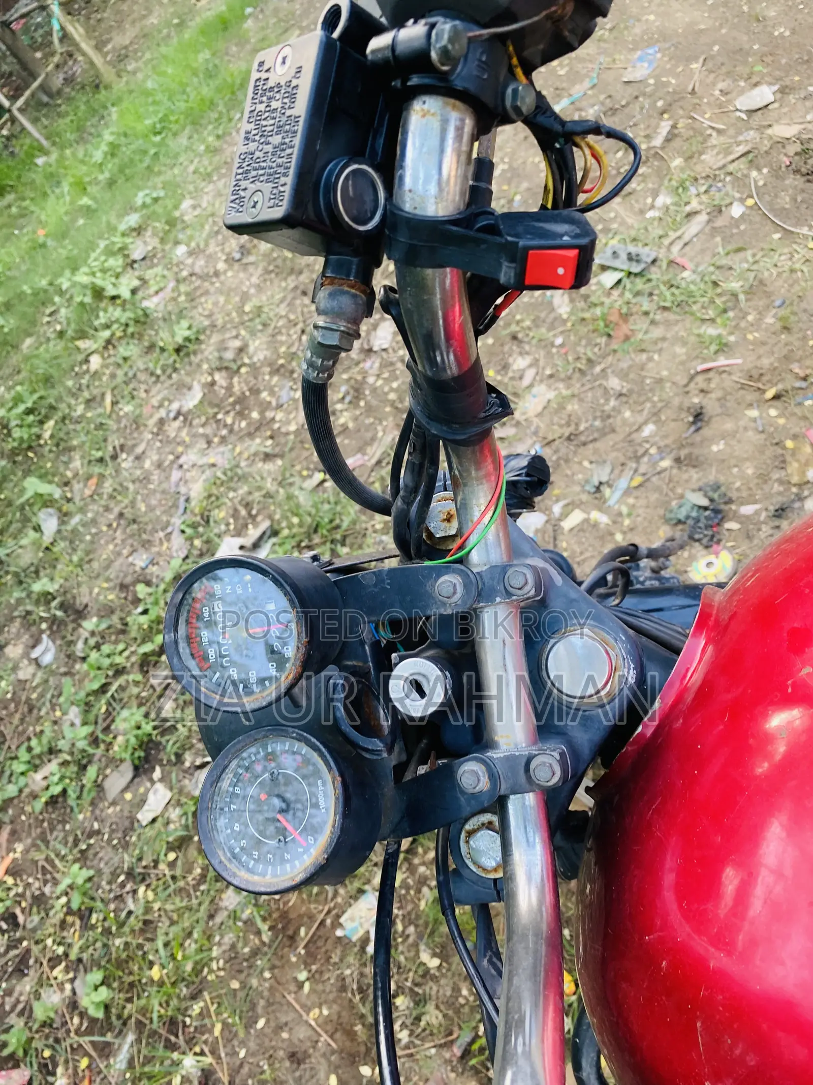 Walton Cruize 2019 Red