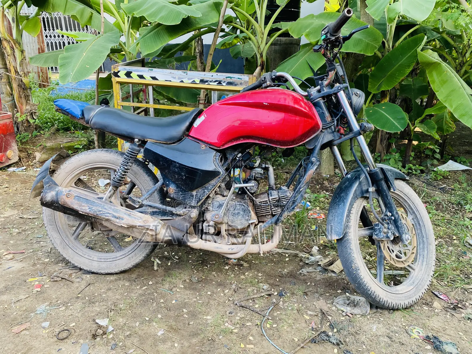 Walton Cruize 2019 Red
