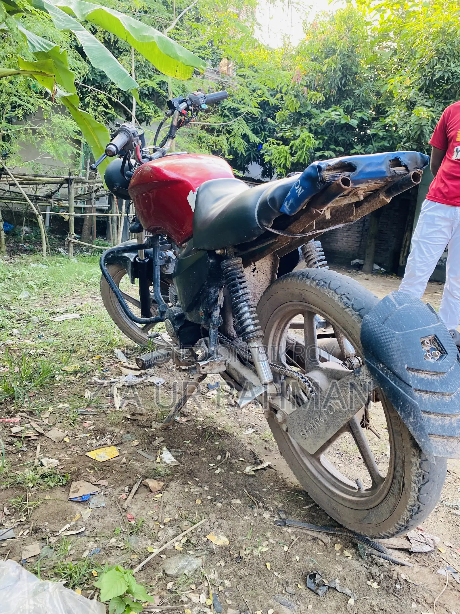 Walton Cruize 2019 Red