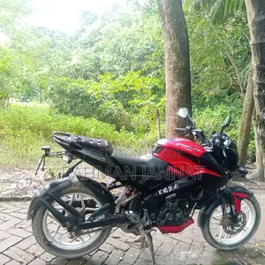 Bajaj Pulsar NS 160 2018 Red